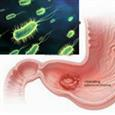 Một số hiểu biết về vi khuẩn Helicobacter pylori